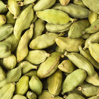 Cardamome